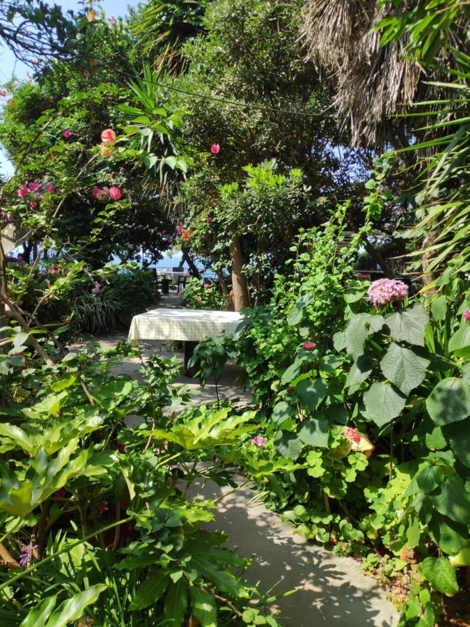 شقة Alonaki Bay Halikounas المظهر الخارجي الصورة