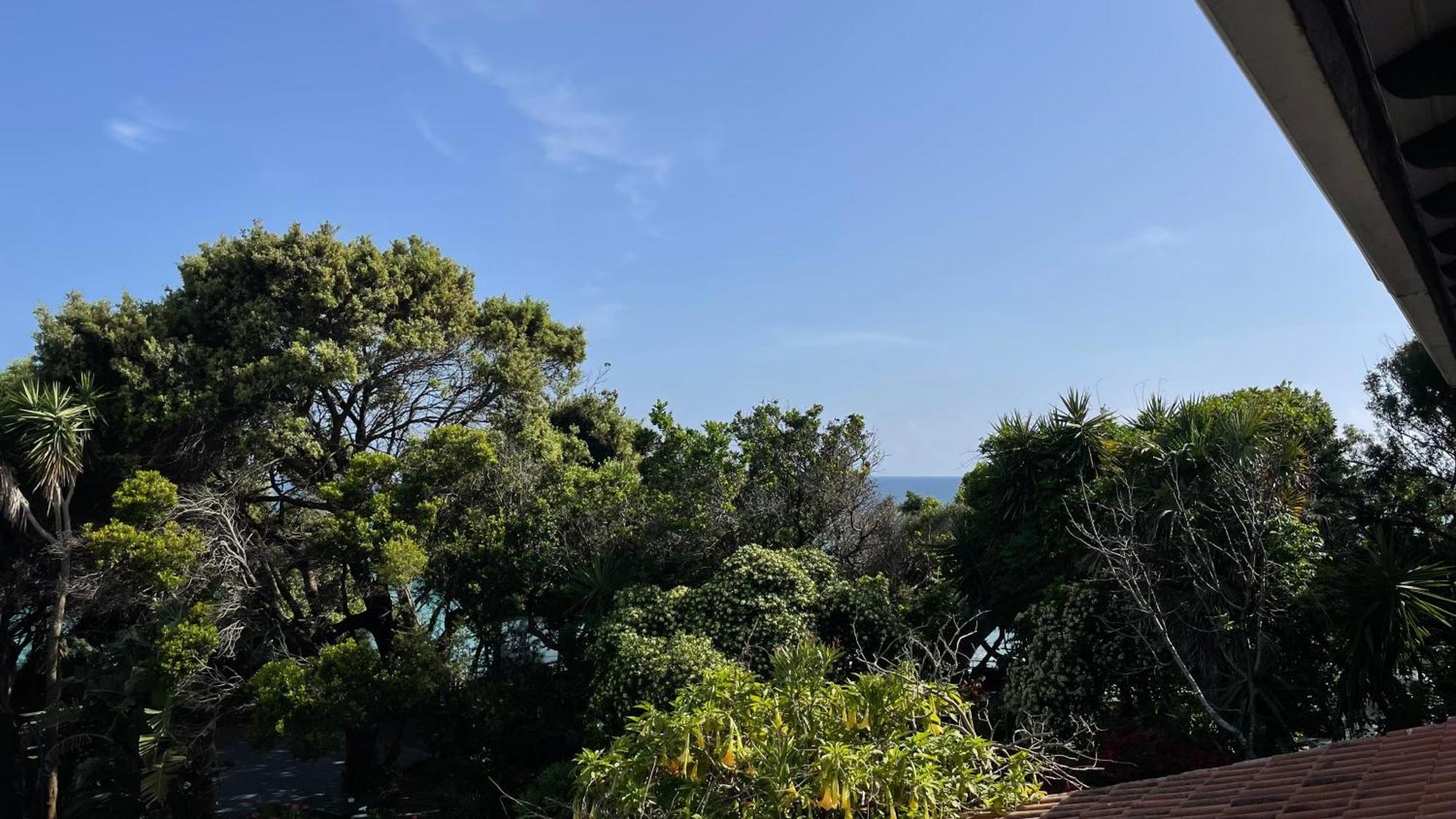 شقة Alonaki Bay Halikounas المظهر الخارجي الصورة
